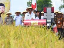 Kabupaten Pasuruan Surplus Beras 2,65 persen