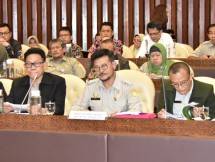 Alih Fungsi Lahan Pertanian Bikin Swasembada Pangan Terhambat