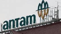 Erick Thohir Copot Komisaris PT Antam