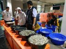 Direktur Utama Perum Perindo Farida Mokodompit 