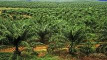 Organisasi Petani Bentuk POPSI Dukung Program Peningkatan Produktivitas