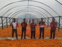 Petani pamerkan hasil panen jagung