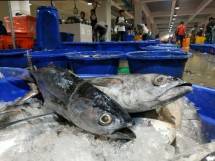 Perum Perindo - Blanja Ikan #darirumahaja