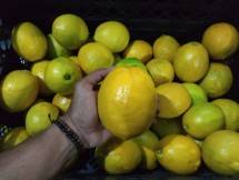 Momentum Buah Lokal Rajai Pasar di Tengah Pandemi Covid-19