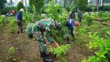 Prajurit Brigif Para Raider 18/Kostrad Bercocok Tanam 