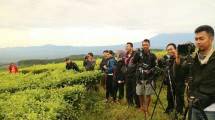 Suasana Saat Berburu Sunrise di Kebun Teh Kertowono, Lumajang 
