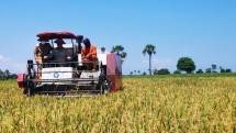 Alat mesin pertanian di sawah
