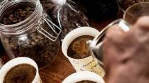 Studi Ungkap Minum Kopi Dapat Mencegah Alzheimer