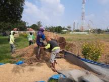 Petani Karawang panen padi