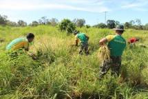 Satgas 411 Kostrad Jaga Ketersediaan Pangan Di Tengah Pandemi Corona 