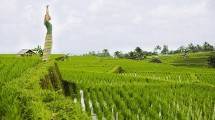 Wisatawan Mancanegara Menikmati Yoga di Bali (Poncho/Getty Images)