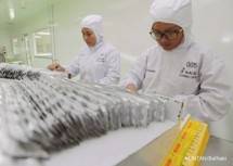 Kalbe Farma kembangkan Penelitian Jamur anti virus (Kontan) 