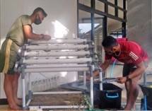 Bintara Marinir Sidoarjo Tingkatkan Ketahanan Pangan dengan Teknik Hidroponik