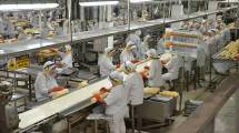 Aktivitas industri makanan dan minuman (mamin)