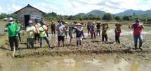 Petani sedang menanam padi (Doc: Kementan)