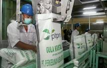 Holding Perkebunan Nusantara Targetkan Produksi Gula Capai 1 Juta Ton