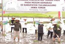 Petani Tulungagung menanam padi (Doc: Kementan)