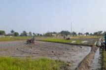 Petani sedang membajak sawah (Doc: Kementan).