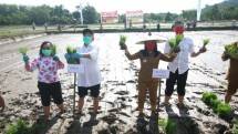 Bupati Landak dan petani tanam padi (Doc: Kementan).