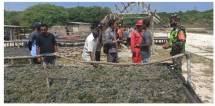 PTPP bersama petani rumput laut (Doc: PTPP)