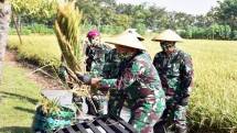  Korps Marinir Dukung Program Terkait Kertahanan Pangan Nasional