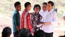 Presiden Serahkan Hutan Tanaman Rakyat kepada 7 Koperasi 