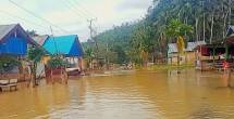 Delapan Desa Lima kecamatan di Kabupaten Konawe Sulsel Terendam Banjir