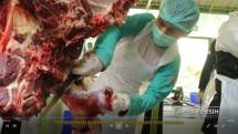 Cara pemotongan hewan qurban bersih, halal dan aman (Doc: Kementan)