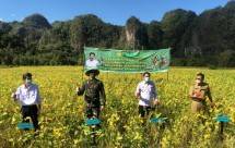 Panen kedelai di Kabupaten Maros (Doc: Kementan)