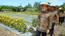 Bupati Banyuwangi Abdullah Azwar Anas. (Ist)