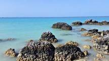 Rasakan Sensasi laut Mati di Pantai Tureloto