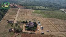 Keren! Perkuat Ketahanan Pangan Nasional, Pakar Properti Ini Rekomendasikan Investasi di Kavling Harmoni Alam 3