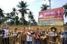 Komisi IV DPR Dukung Kementan Genjot Produksi Pertanian Lampung