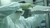 Stem Cells - Dari Perawatan COVID-19 Hingga Regenerasi Tulang