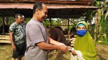 Nenek Sumiyati saat membayar sapi dan kambing yang dibeli di salah satu peternak sapi di Tenggarong, Kutai Kartanegara, Kaltim, Kamis (30/7/2020] foto.kompas.com/tribun 