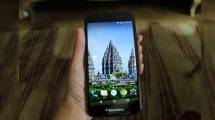 Blackberry Aurora (ist)