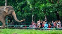 Taman Margasatwa Ragunan (TMR) - (ist)