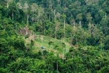 SK KLHK Soal penetapan Kawasan Hutan Potensi Picu Konflik, Junimart: Sertifikat Sudah Dimiliki Rakyat Sejak Jaman Belanda...