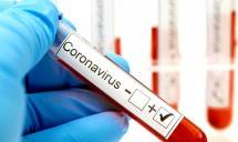 Ilustrasi Corona Virus