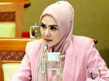 Mulan Jamela DPR RI