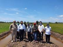 Bantu Food Estate, HKTI Siapkan Bibit Unggul dan Tenaga Ahli