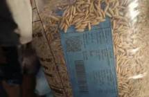 Barcode pada benih padi hindari pemalsuan