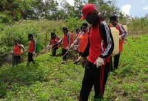 Kalbar Kendalikan Penyakit Bercak Daun Amankan Produksi Kacang Tanah