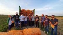 Petani jagung yang siap mengekspor ke luar negeri
