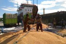 Petugas menimbang jagung pipil