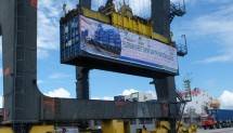  Direct Export Perdana