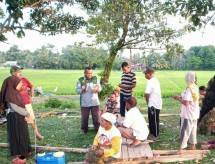 Petani Riau siap membasmi hama ulat grayak