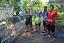 Pasukan Brigif 2 Marinir Panen Sayuran Program Ketahanan Pangan