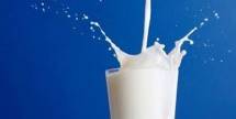 Minum Susu (Foto Dok Merdeka) 