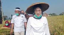 Hari Tani Nasional 2020, Bupati Purwakarta Apresiasi Program Terobosan Kementan